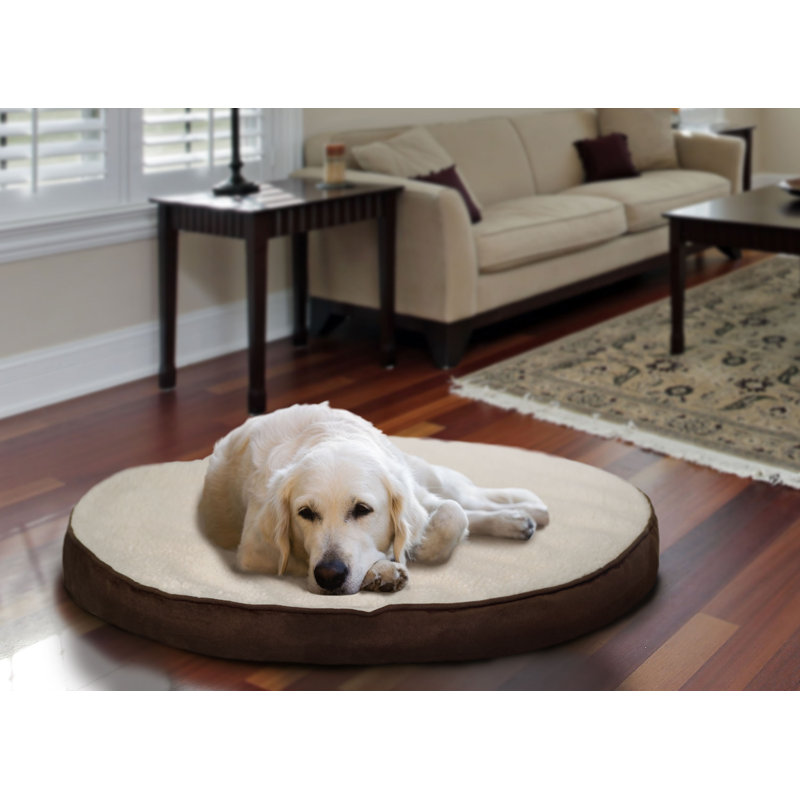 Tucker Murphy Pet Boris Round Orthopedic Pet Dog Bed & Reviews Wayfair